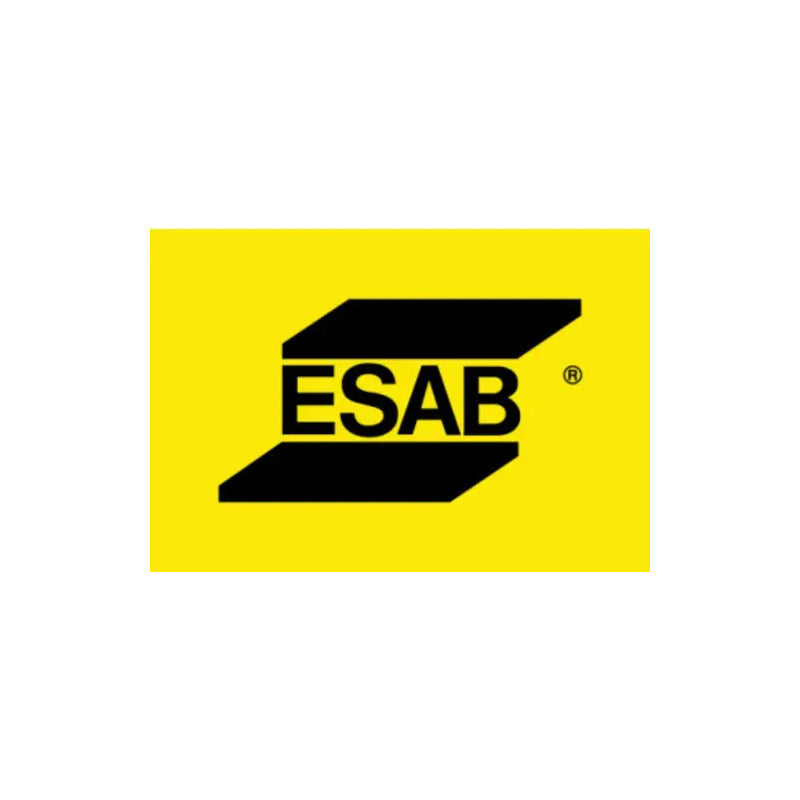 Protector Interno Careta Fotosensible Esab Savage A40 X10 Un Color Transparente RLC INDUSTRIAL SUPPLY