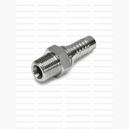 Conector NPT Macho 2" x 2" Recto – Tipo 2 Piezas Sin Férula SAE 100R1/R2