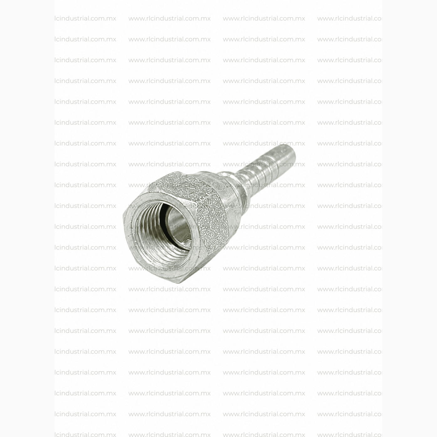 Conector JIC 37° Hembra 3/4" x 1/2" Recto – Tipo 2 Piezas Sin Férula SAE 100R1/R2