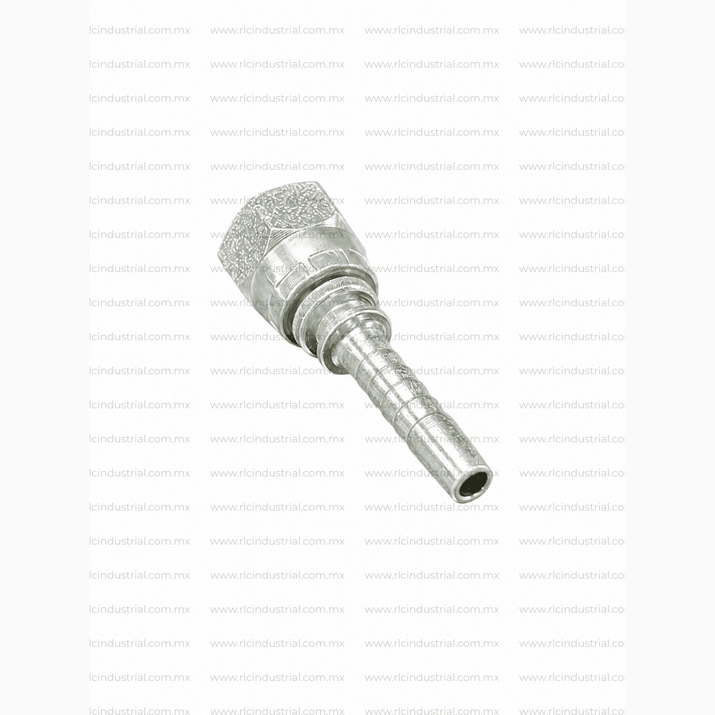 Conector JIC 37° Hembra 3/4" x 1/2" Recto – Tipo 2 Piezas Sin Férula SAE 100R1/R2