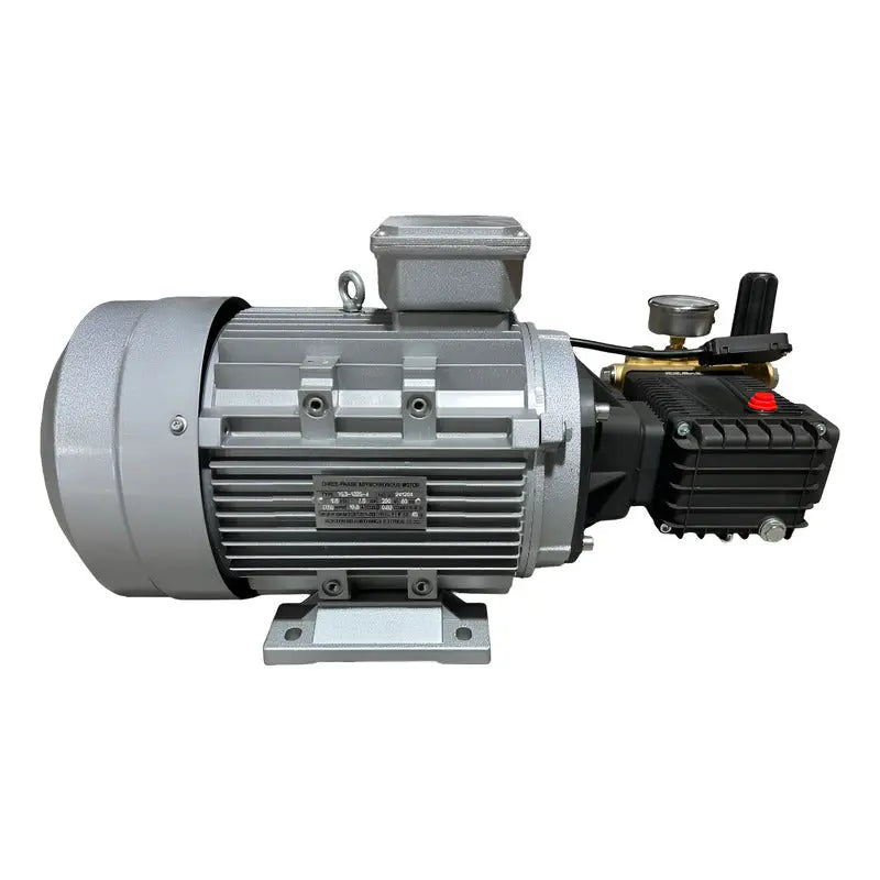 Motor Electrico Con Bomba Para Hidrolavadora 3,335 Psi 220v Gris 60 RLC
