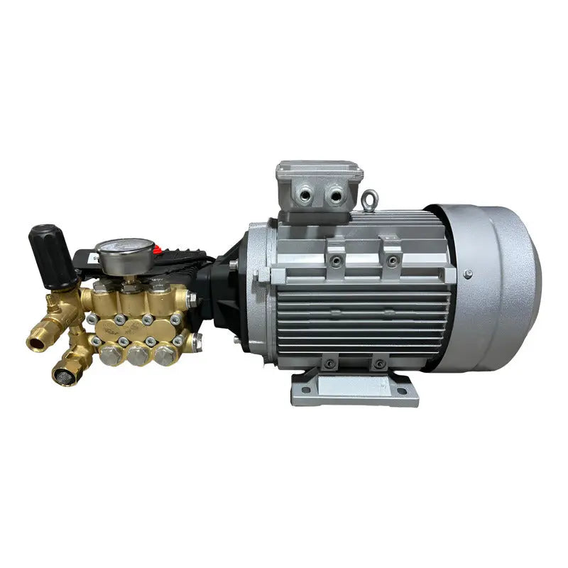 Motor Electrico Con Bomba Para Hidrolavadora 3,335 Psi 220v Gris 60 RLC